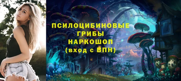 спиды Лиски