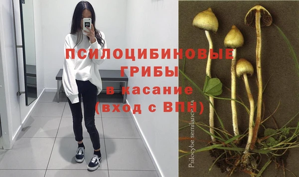 спиды Лиски