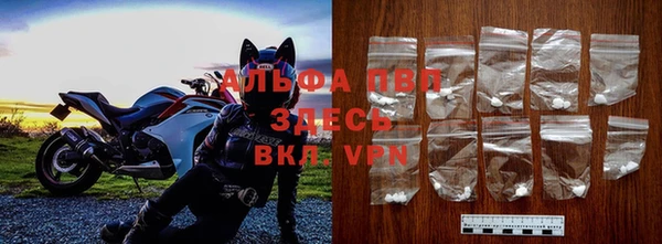 спиды Лиски