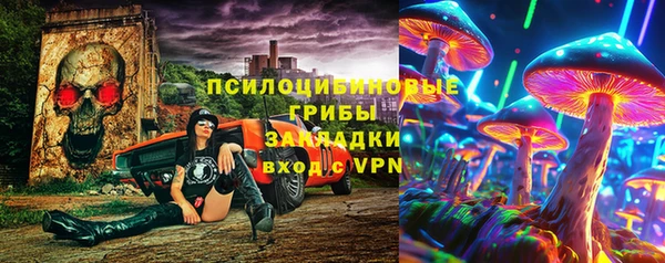 спиды Лиски