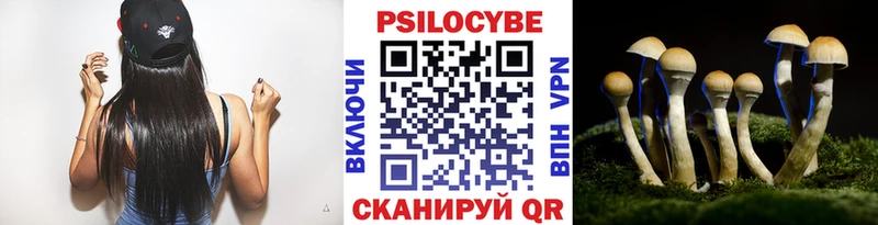 Купить где Кизилюрт Галлюциногенные грибы Magic Shrooms